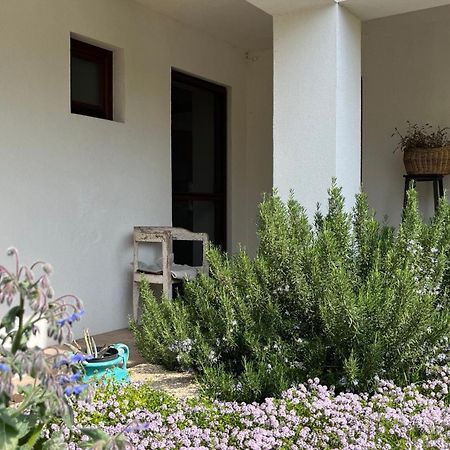 Villa Szent Jakab Vászoly Kültér fotó